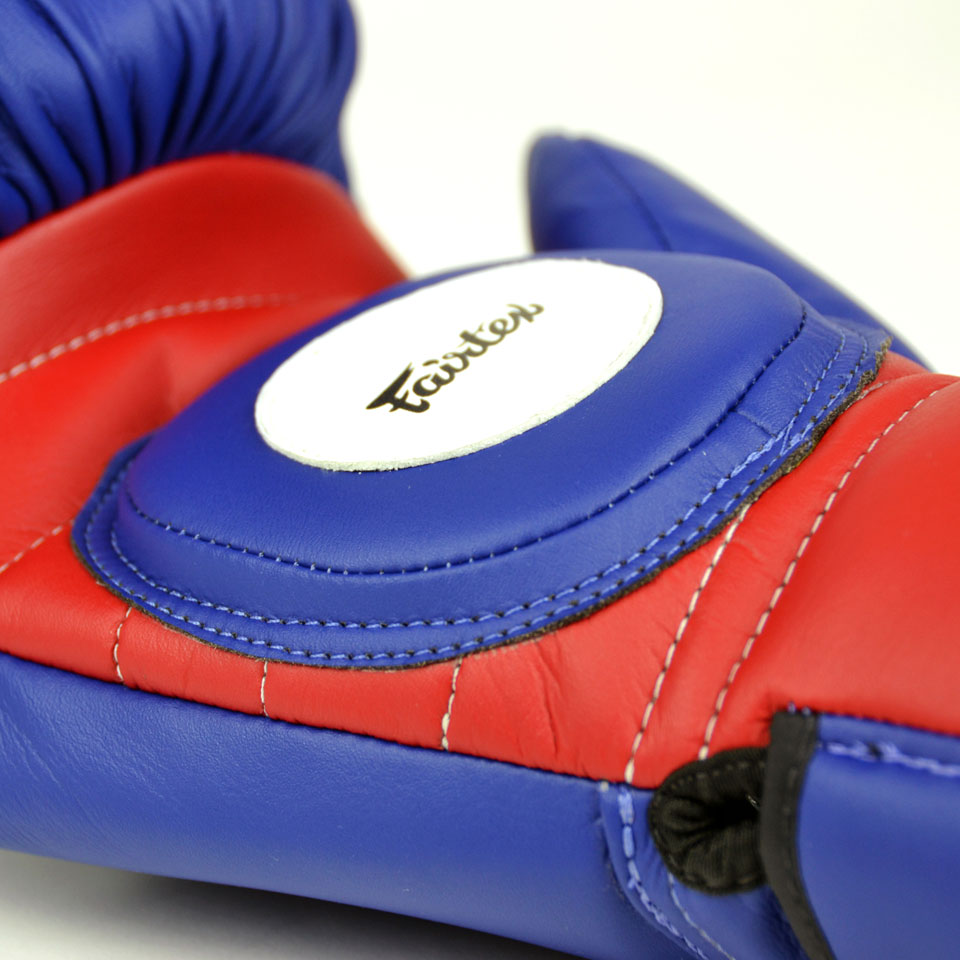 Fairtex Coach Sparring Gloves BGV13