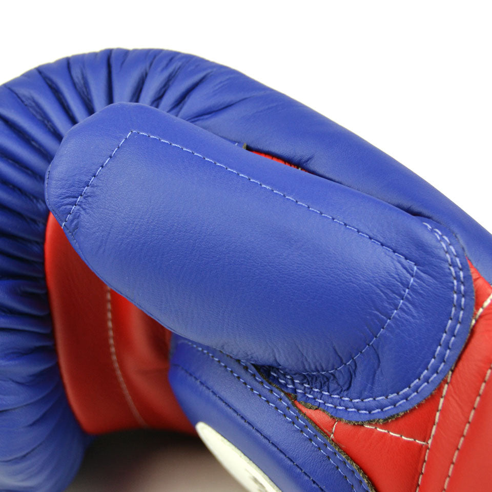 Fairtex Coach Sparring Gloves BGV13