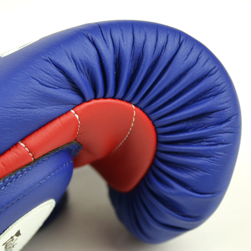 Fairtex Coach Sparring Gloves BGV13